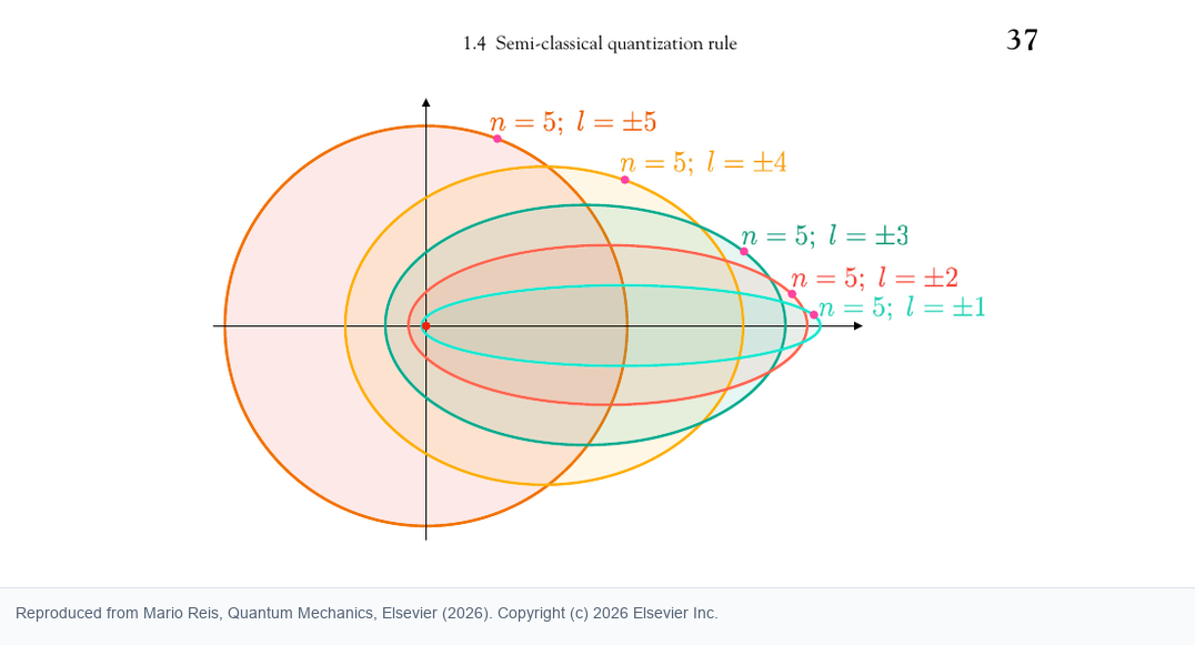 Fig. 1.12, adapted from the original chapter: Sommerfeld orbits for fixed principal quantum number and different angular labels.