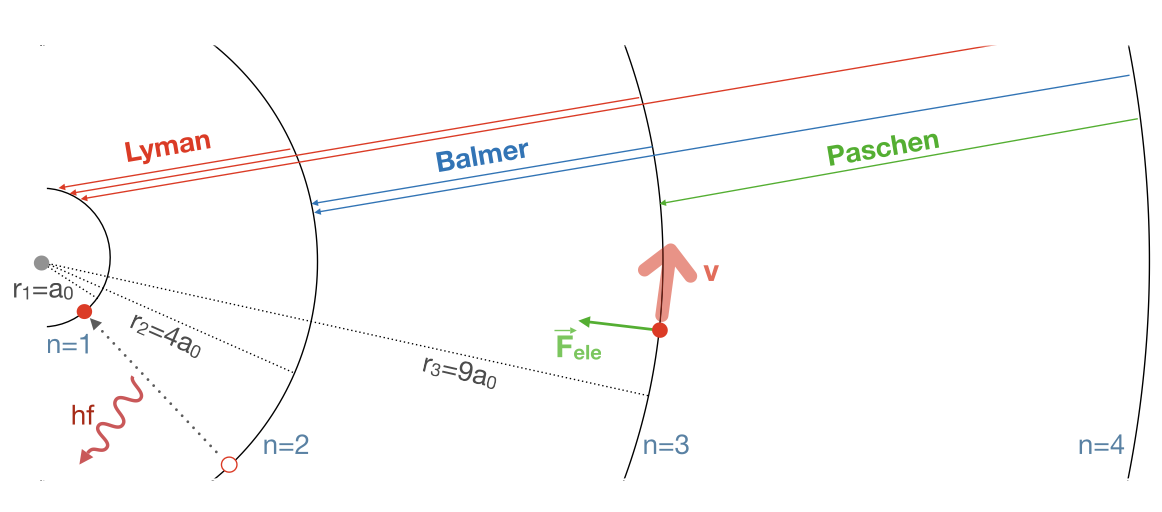 Fig. 1.8, adapted from the original chapter: spectral series are interpreted as transitions between allowed atomic levels.