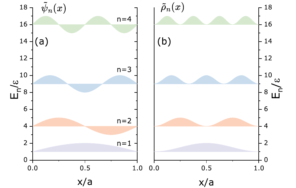 Fig. 2.1, adapted from the original chapter: wave functions and probability densities for the infinite potential well.