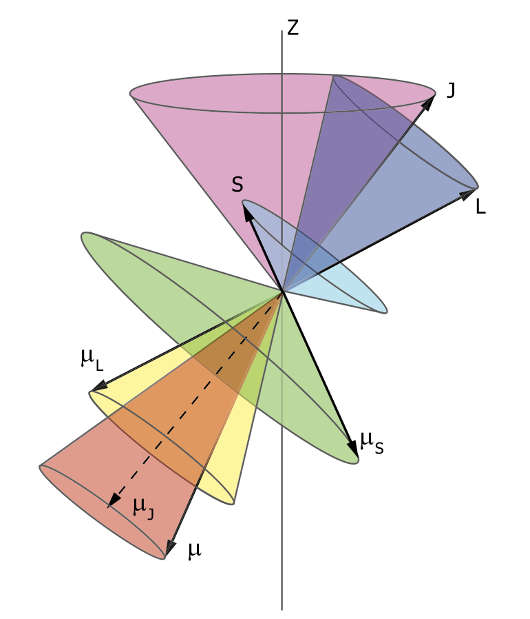Magnetic moment and total angular momentum projection geometry